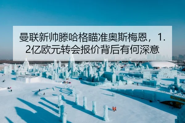 曼联新帅滕哈格瞄准奥斯梅恩，1.2亿欧元转会报价背后有何深意