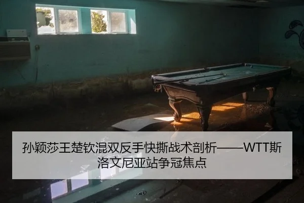 孙颖莎王楚钦混双反手快撕战术剖析——WTT斯洛文尼亚站争冠焦点