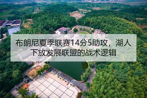 布朗尼夏季联赛14分5助攻，湖人下放发展联盟的战术逻辑